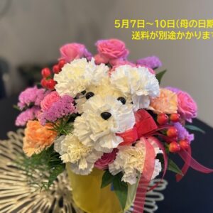 プードルアレンジ